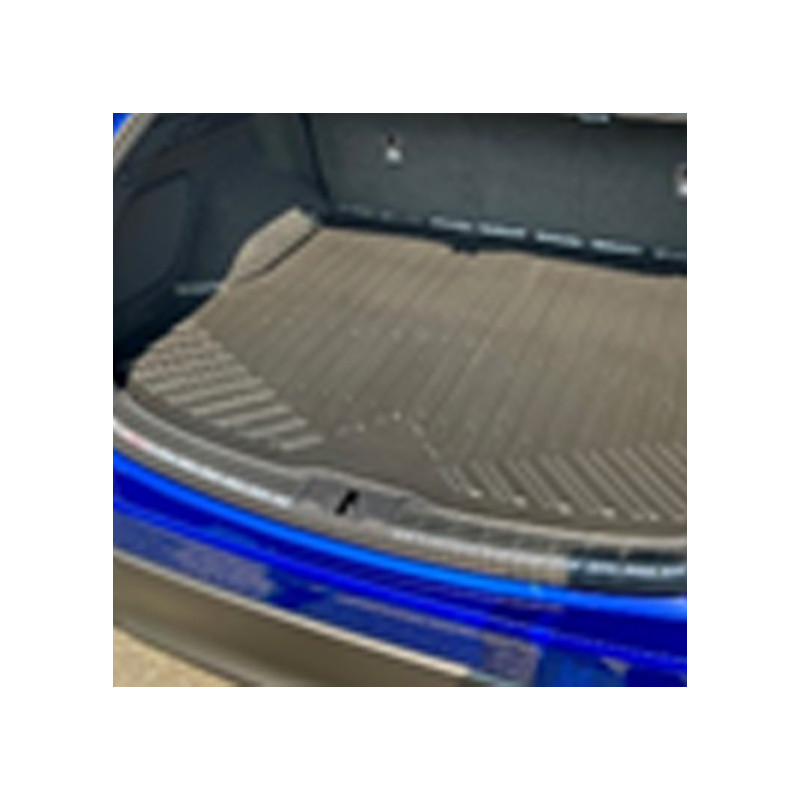 Килимок багажника гумовий RX 350/500h