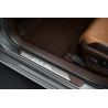 Накладки порогів з ілюмінацією коричневі - для бензинових Lexus