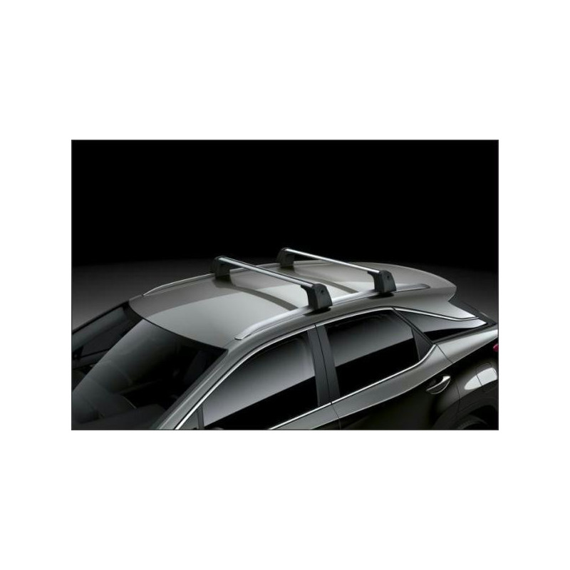 Поперечини даху Lexus RX, RX-L