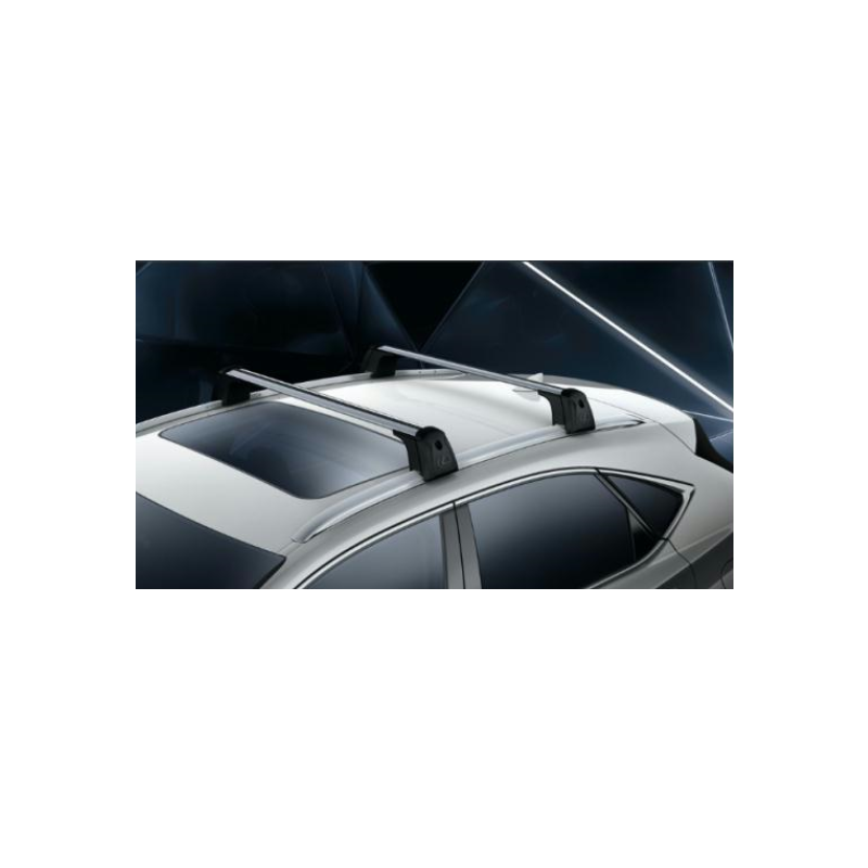 Поперечини даху Lexus NX