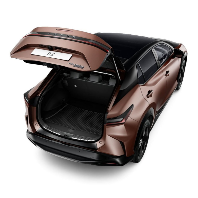 Горизонтальна сітка кріплення вантажу Lexus RZ