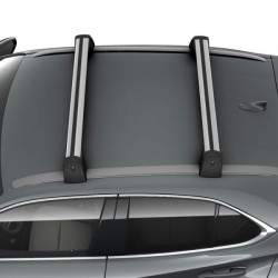 Поперечини даху Lexus UX
