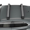 Поперечини даху Lexus UX