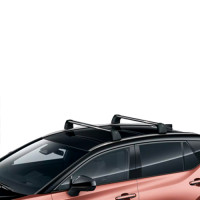 Поперечини даху Lexus RZ